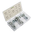 LubriMatic Deluxe Grease Fitting Assortment - 100 Piece product photo