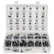 Auveco Engine Cover Clips & Fasteners Assortment - 18 Varieties - 250 Pieces product photo